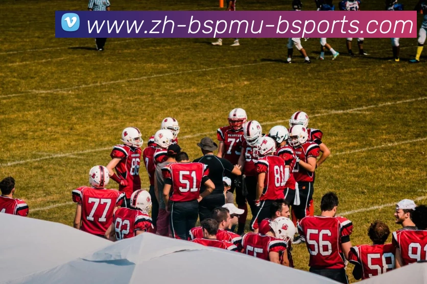 App Interface Preview